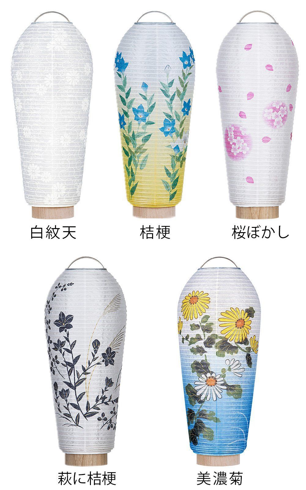 2．白紋天 桜ぼかし