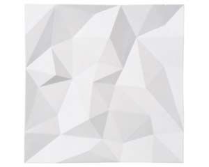 カ501-138 シャドースクエアープレートL白