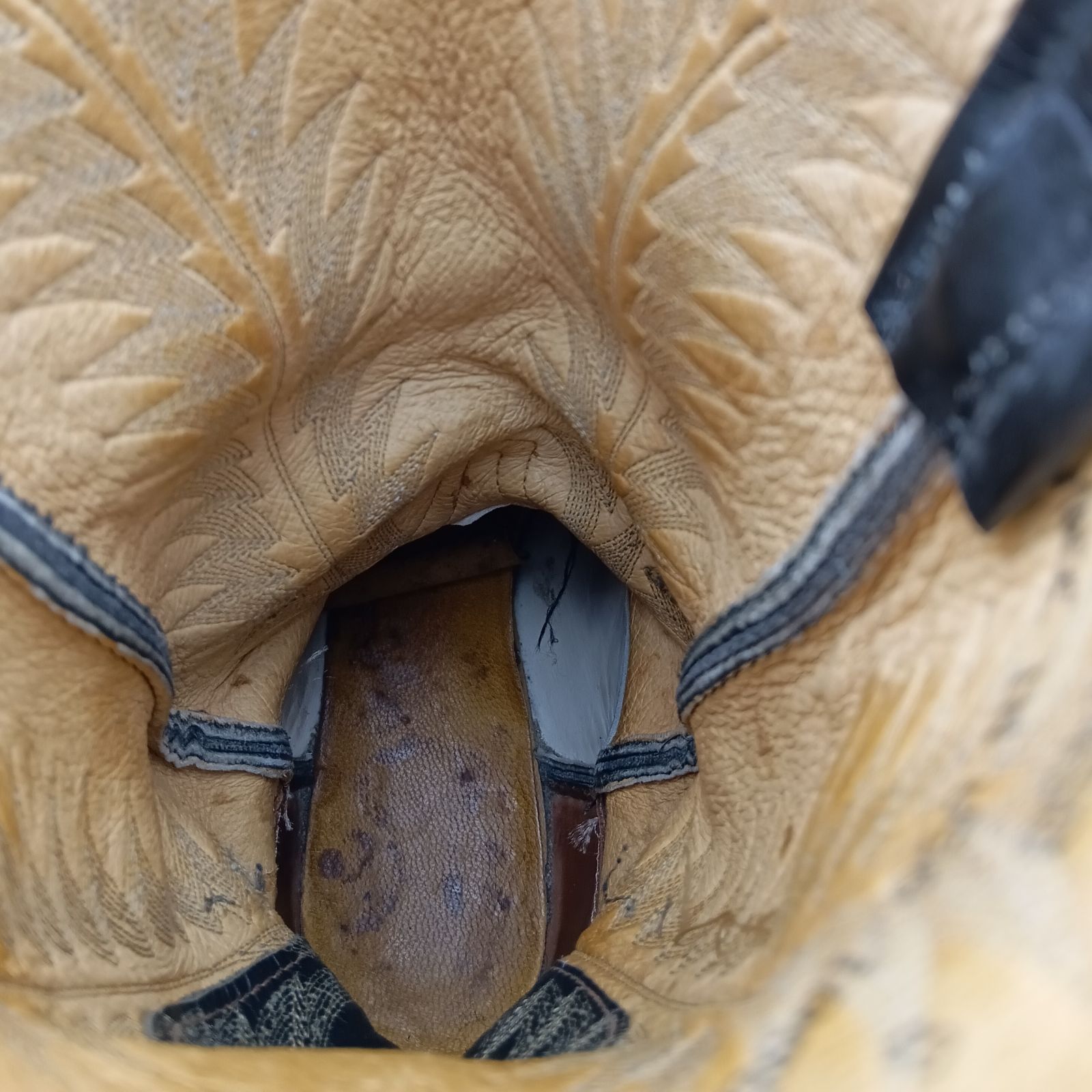 Lama トニーラマ