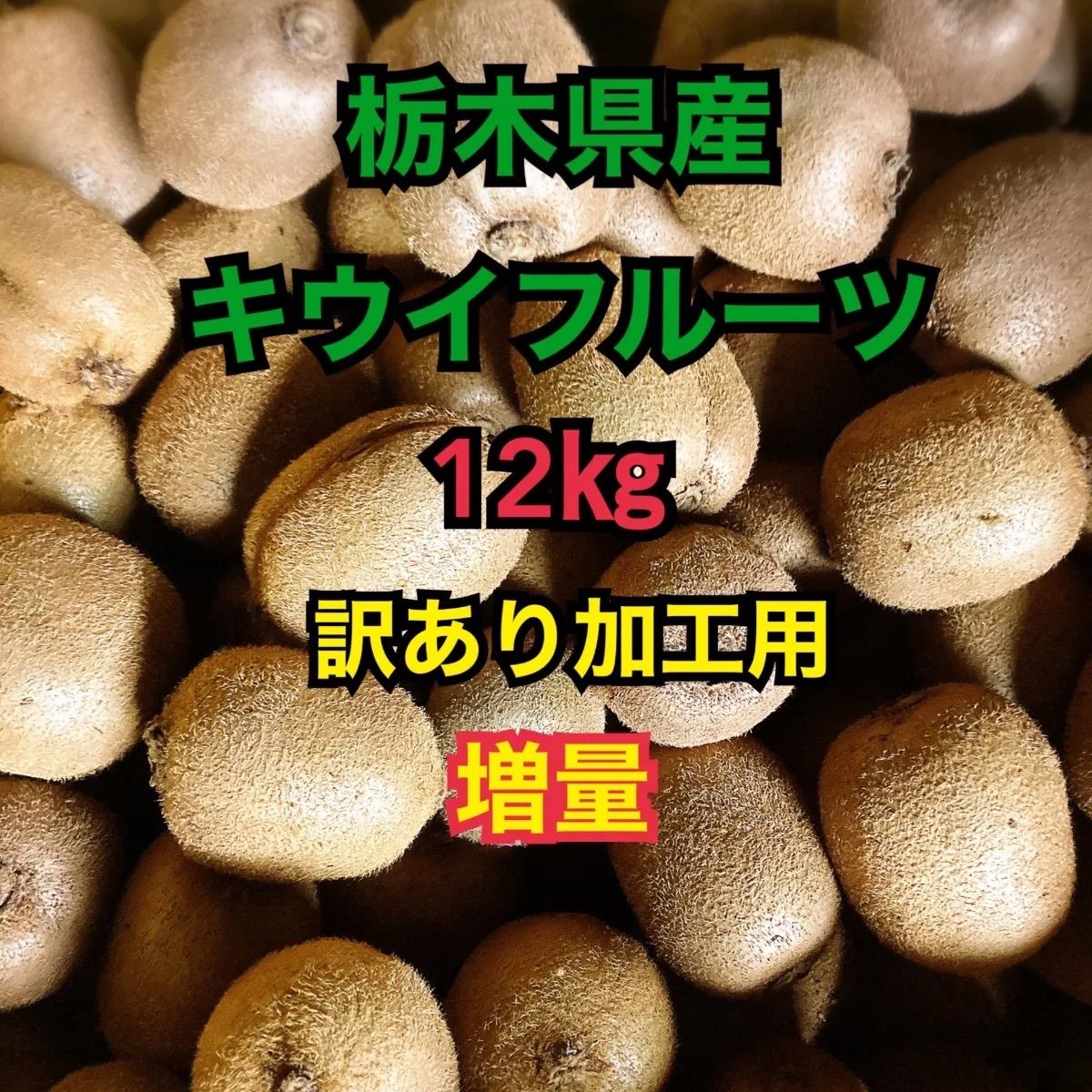 終了 加工用 １４kg入り!! 栃木県産キウイフルーツ