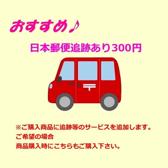 日本郵便土日祝配達あり追跡あり300円※こちらを単品で購入することはできません