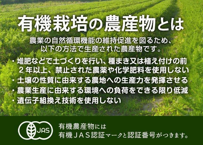 1個100～350g 化学肥料