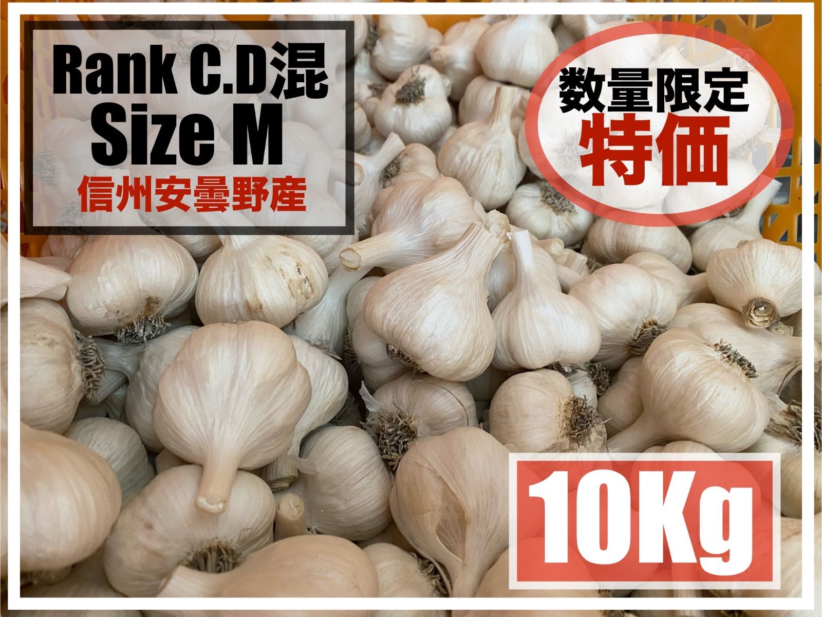 ⬛️にんにく⬛️10 kg ⬛️ ⬛️サイズM ⬛️ＣDランク混⬛️ホワイト六片⬛️ ⬛️ 令和7年6月収穫⬛️ 信州 安曇野産 ⬛️フォロワー割有⬛️