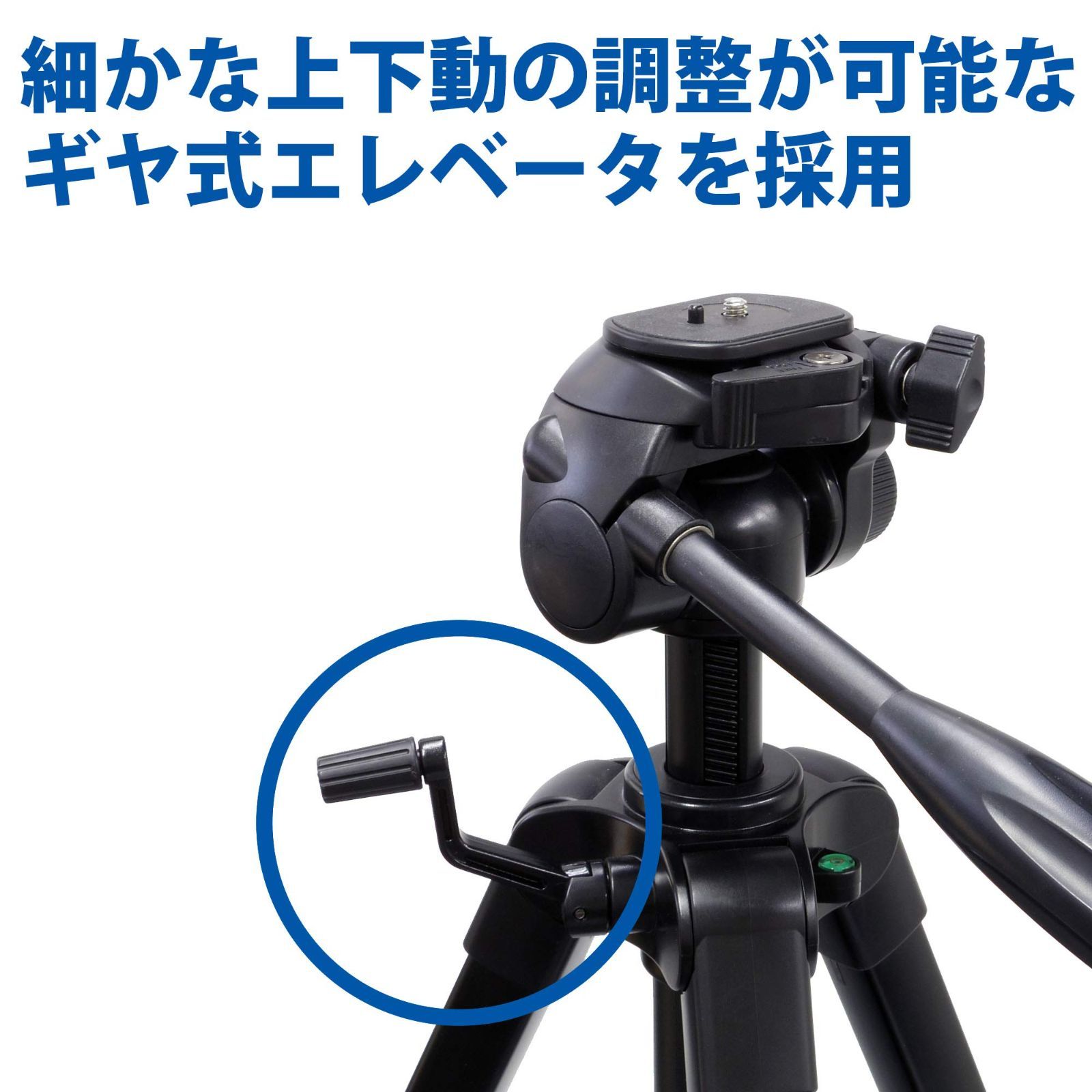 中型
