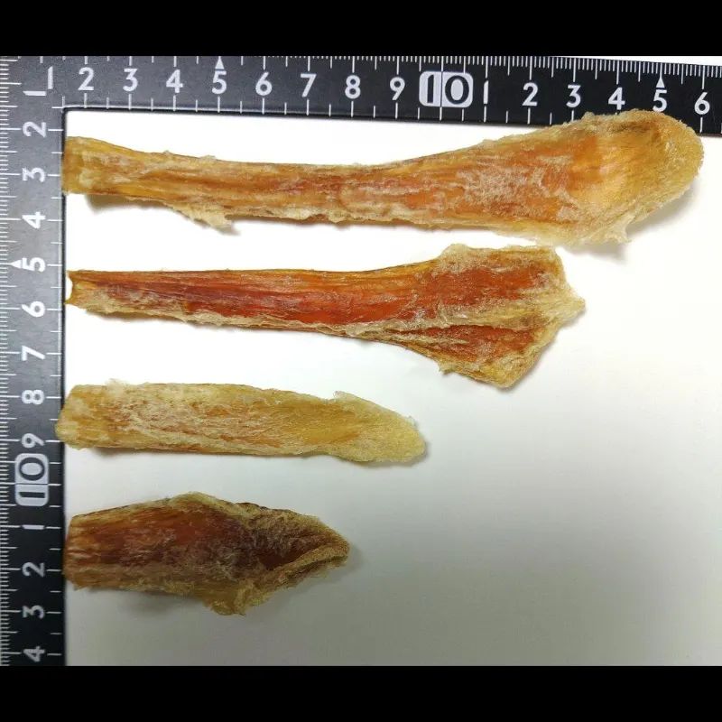 国産 無添加 馬アキレス半割ショート500g×2P