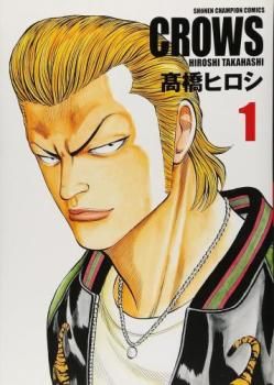 クローズ 完全版(21冊セット)全 19 巻 完結 + 外伝 全 2 巻 完結【