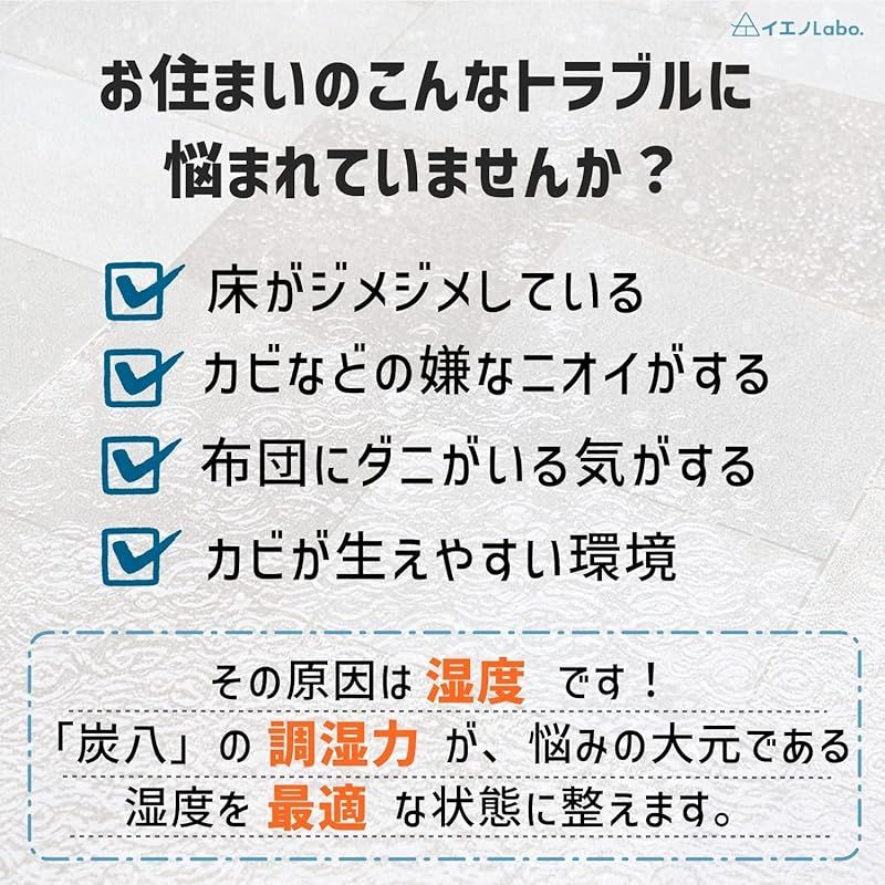 室内用 大袋