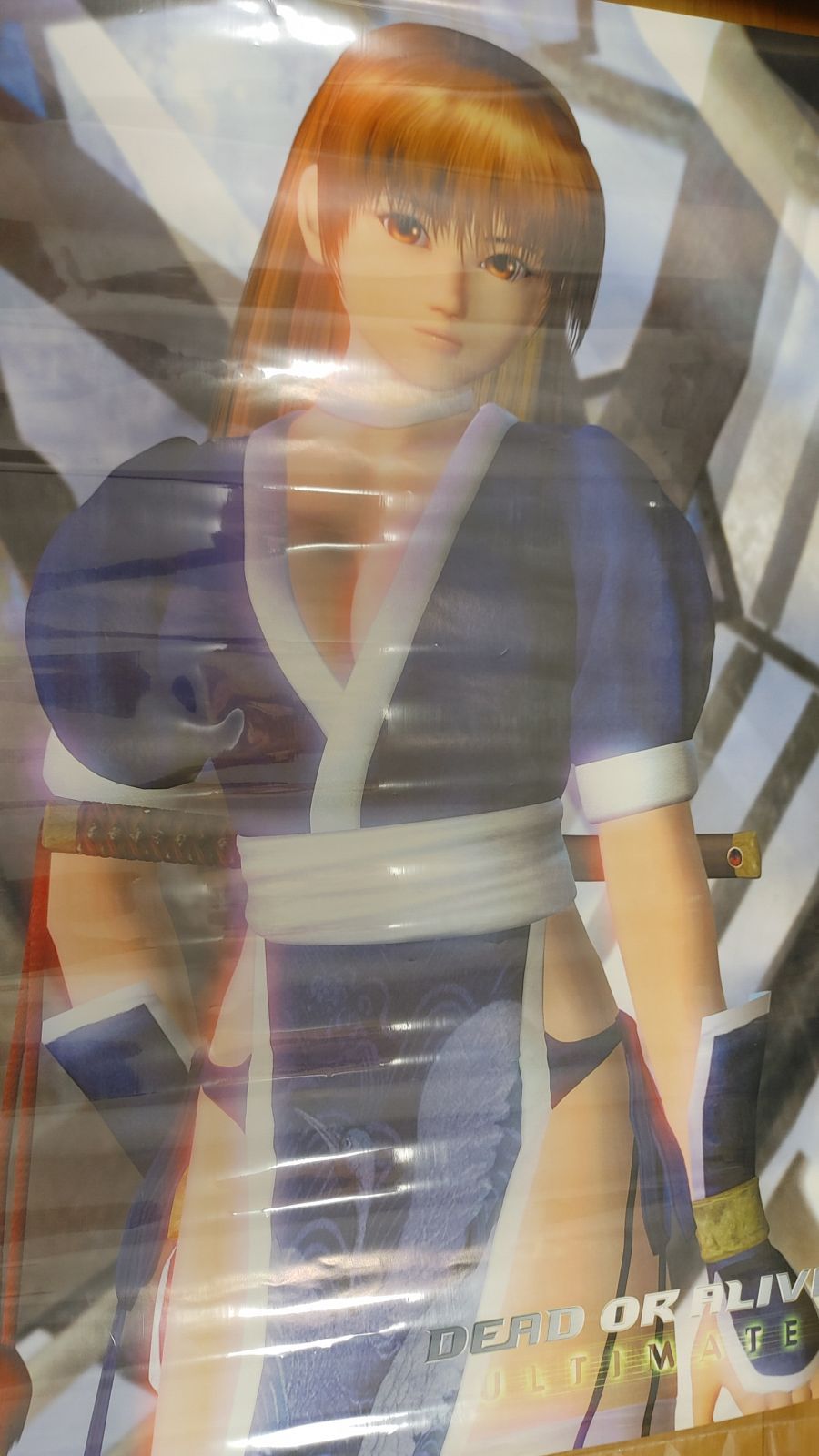 非売品]WILD HEARTS S コーエーテクモ B2 サイズ ポスター ②