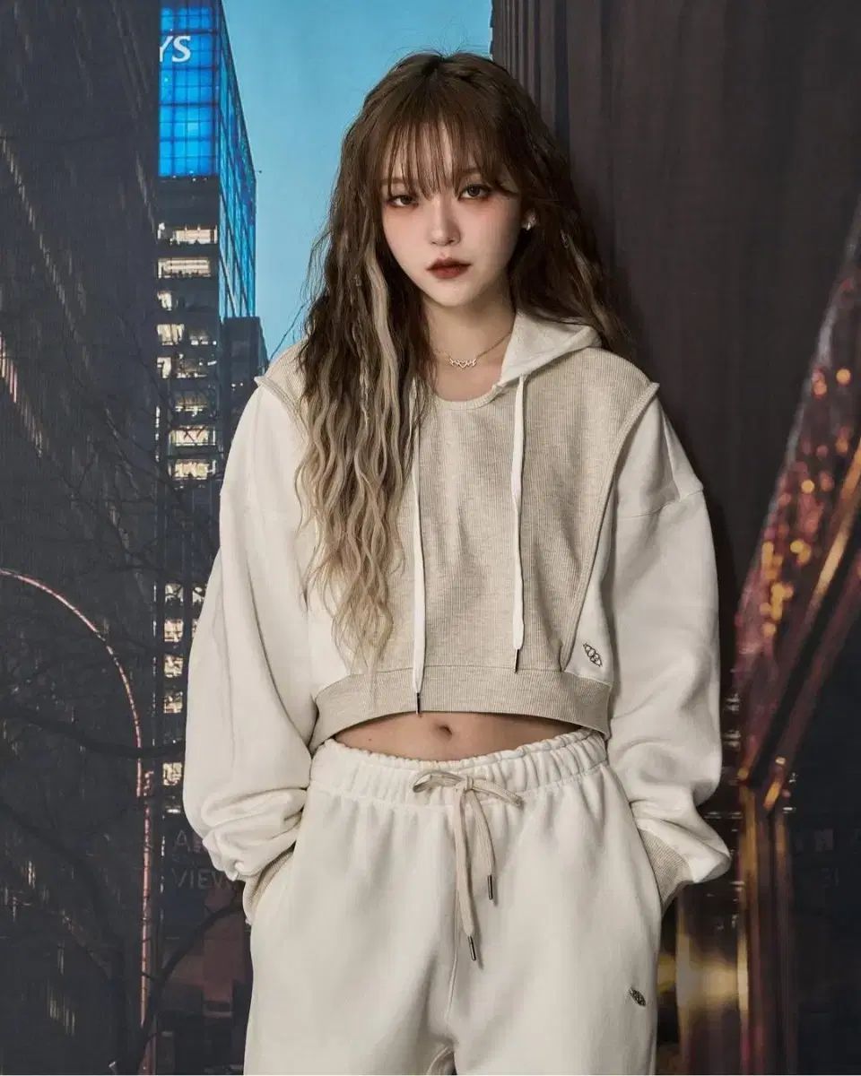 ほぼ未使用 茶道具 L804電熱式 桑置炉 釜師辰敏造 鷺地紋肩衝釜 釜印