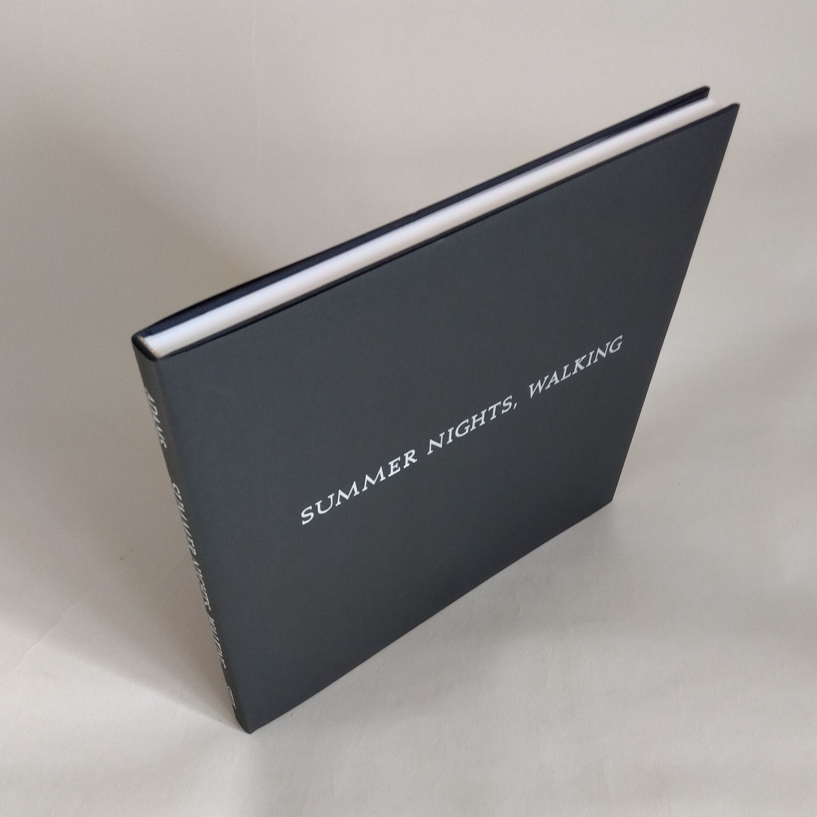 SUMMER NIGHTS, WALKING 改訂版 新品入荷 by Walking Nights, Summer Robert Photobookstore