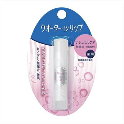 大人気商品  ウオーターインリップ 薬用スティックＮＦ ｎ 【ファイントゥデイ】 【 リップクリーム 】ウオーターインリップ 薬用スティックＮＦ×48点セット tt 