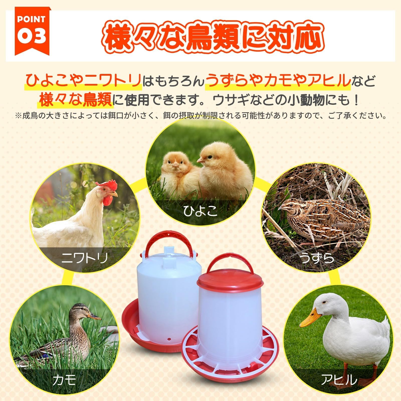 にわ鳥 オファー アヒル口 ペット販売