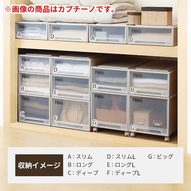 【人気商品】【サイズ カプチーノ】 【色 日本製 衣装ケース たわみにくい ロング】 収納ケース 幅39×奥行74×高さ23cm 押入れ フィッツケース 収納ボックス 天馬 人気商品L-53 サイズ カプチーノ 色 日本製 衣装ケース