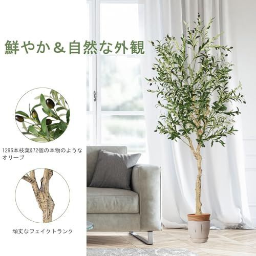 観葉植物