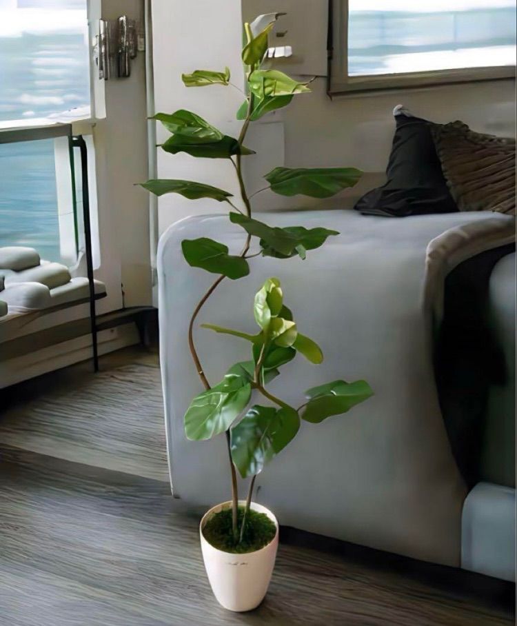人工観葉植物 ウォールグリーン