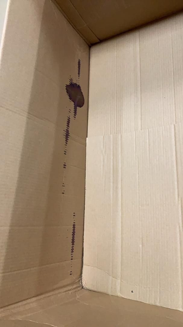 ogawa キャンプ トンネル型テント アポロン 2788 --522583 OLIVEOS_COM_TR