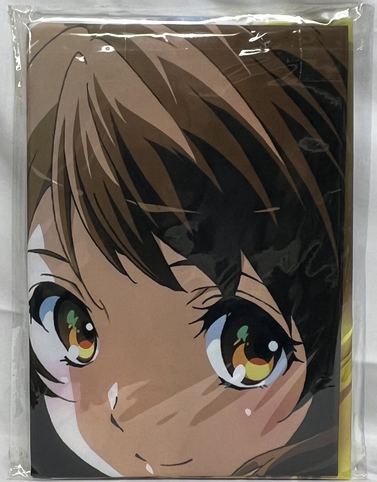 響け！ユーフォニアム マルチクロス 全2種セット-通販公式
