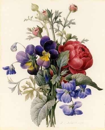 ルドゥーテの花の絵 ラナンキュラスとパンジーの花束 肉筆画 複製画
