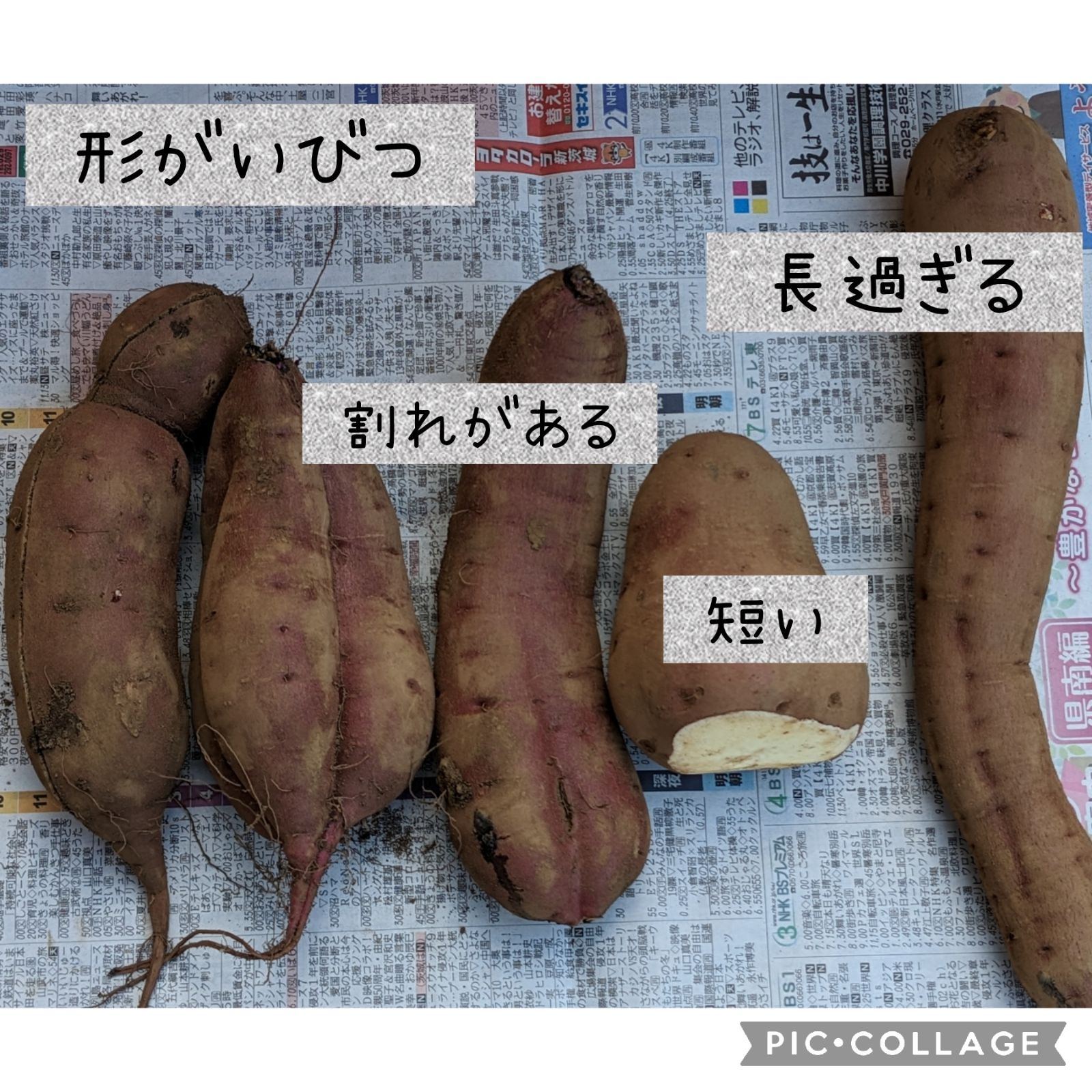 紅はるか ABCミックス 10kg☓2 野菜 | stratworks.org.ph