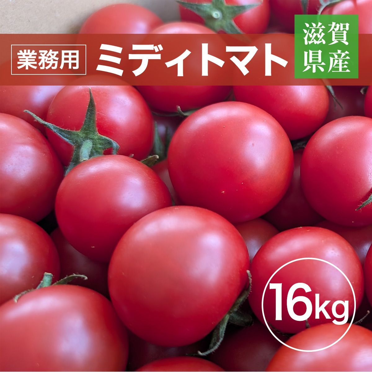 ★ トマト 業務用 中玉トマト ミディトマト 16㎏ 滋賀県 10月～7月の販売 定期便