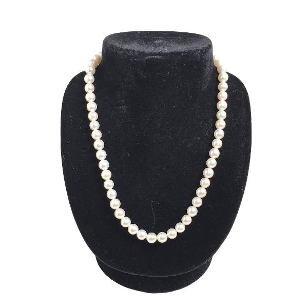 パール 53粒 ネックレス ホワイト - メルカリ 