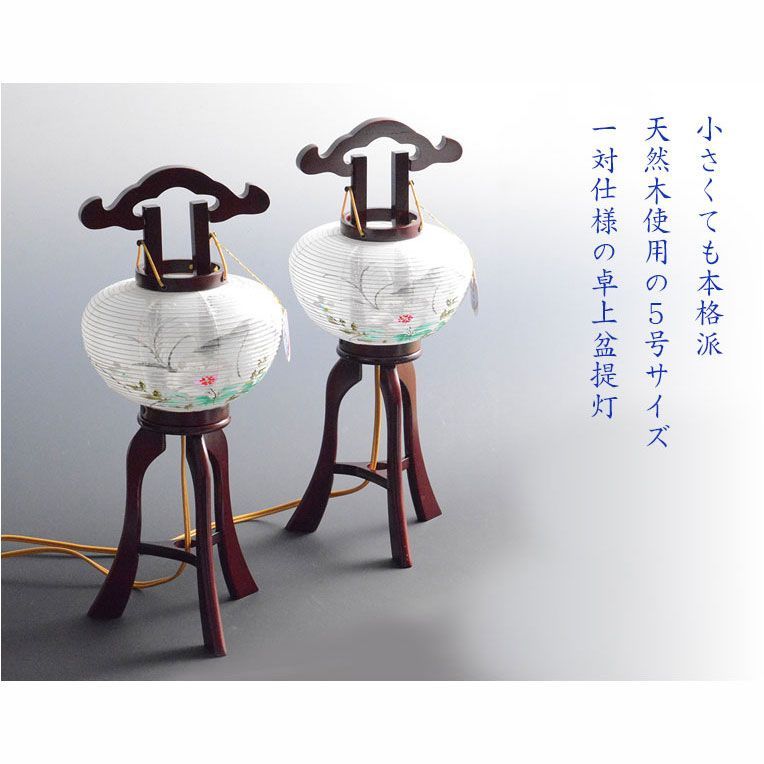 桔梗