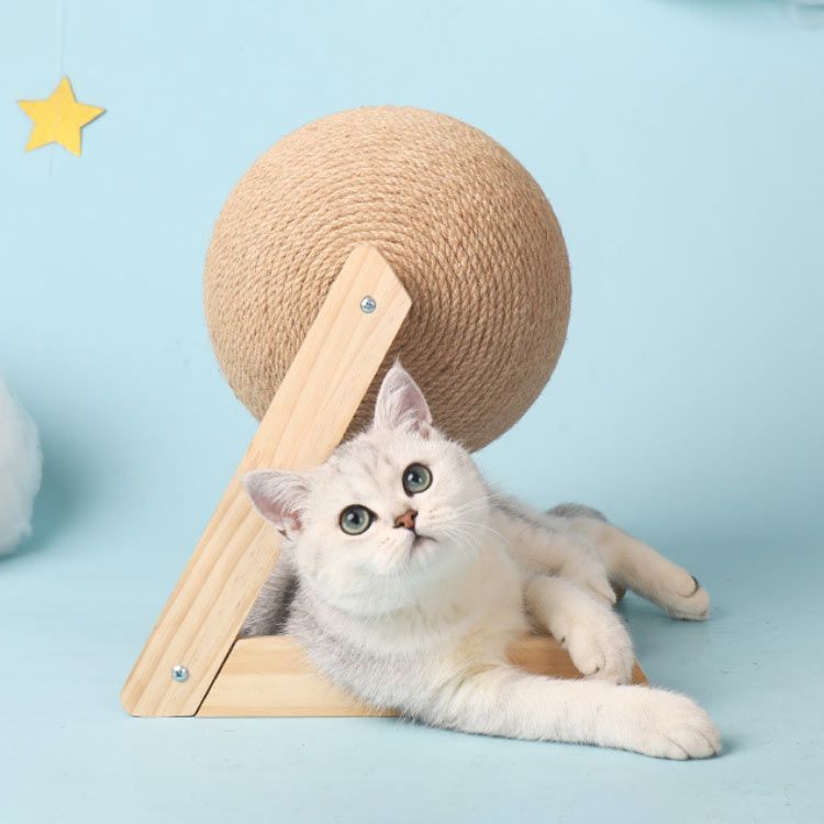 ☆ 爪とぎ つめとぎ 猫の爪研ぎ 組み立て簡単 大きいボール Amazon