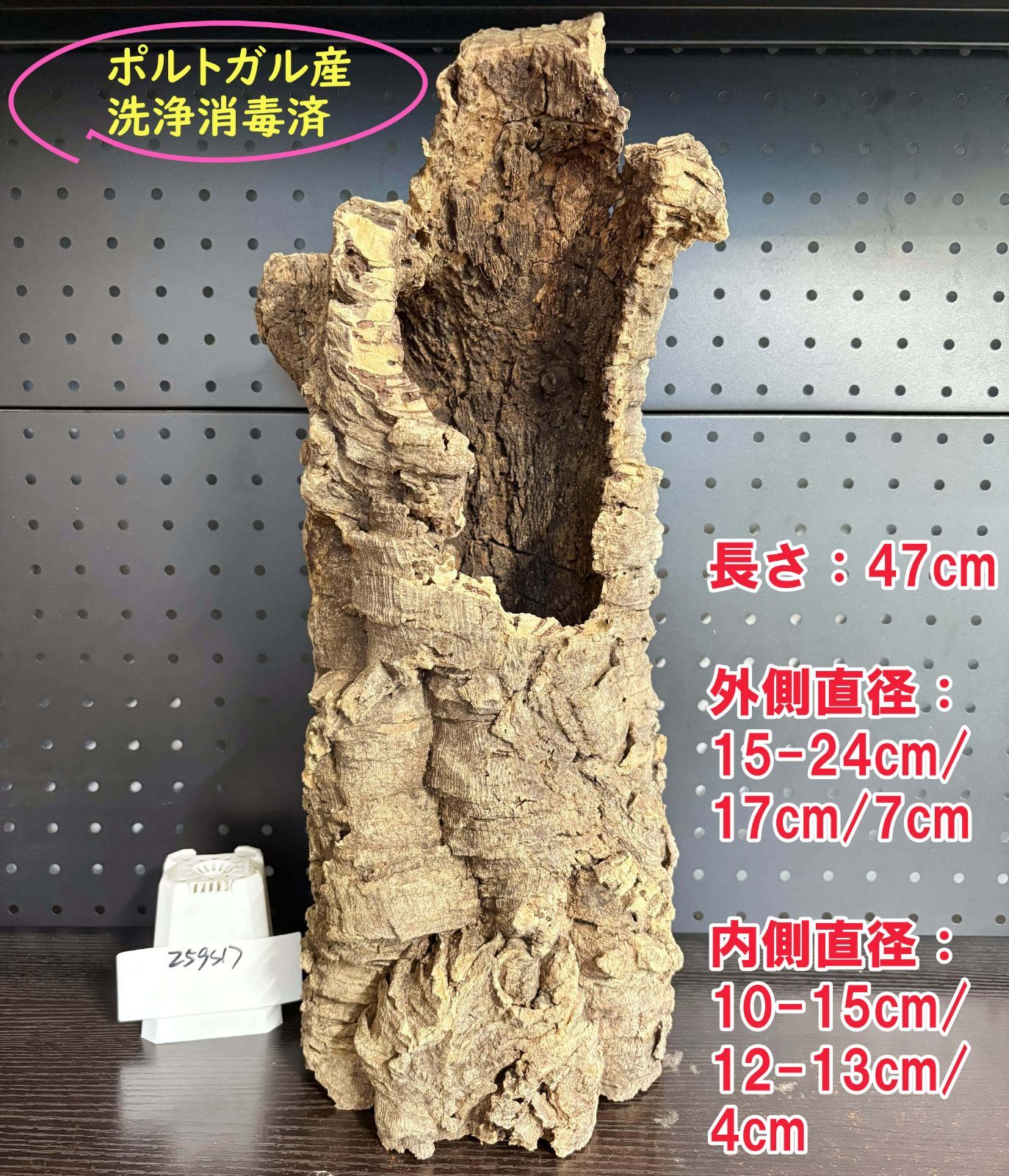 259S17 ポルトガル産 キャノンコルク コルク樹皮 コルク板 バージンコルク 送料無料 チランジア ビカクシダ 着生ラン 両生類 爬虫類