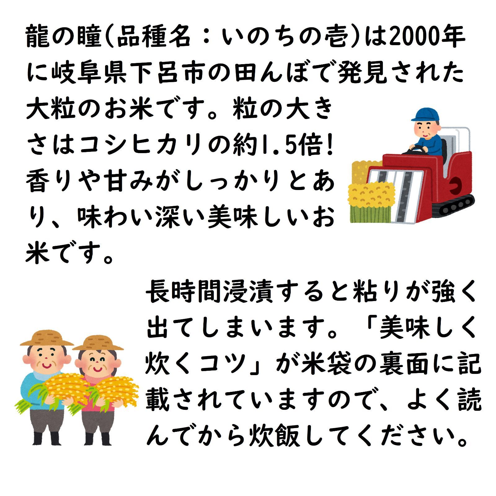 令和5年産愛知県産女神のほほえみ2kg - 米