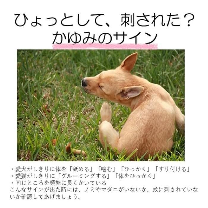 のサムネイル