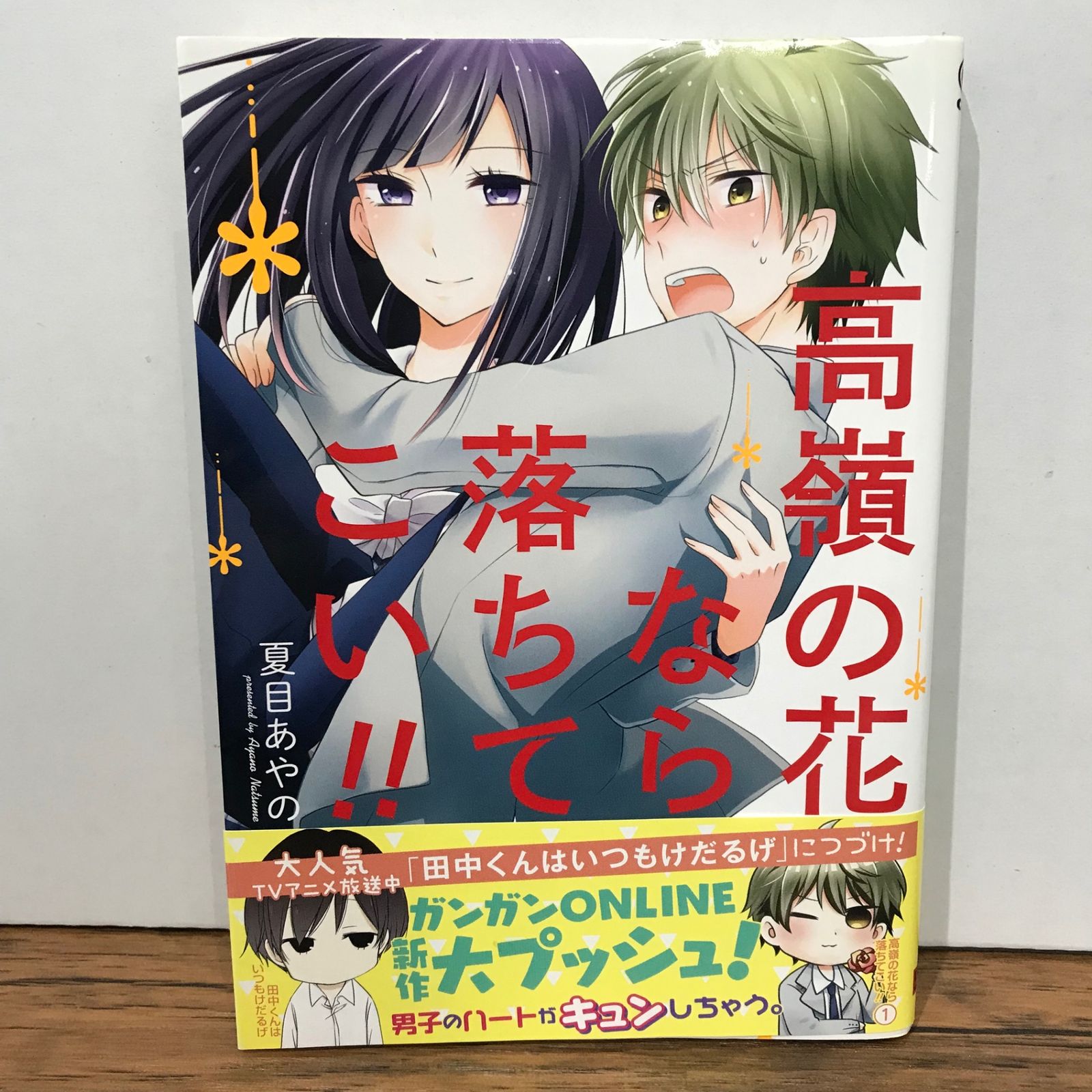 初版】高嶺の花なら落ちてこい！！ 1巻/夏目あやの/GF