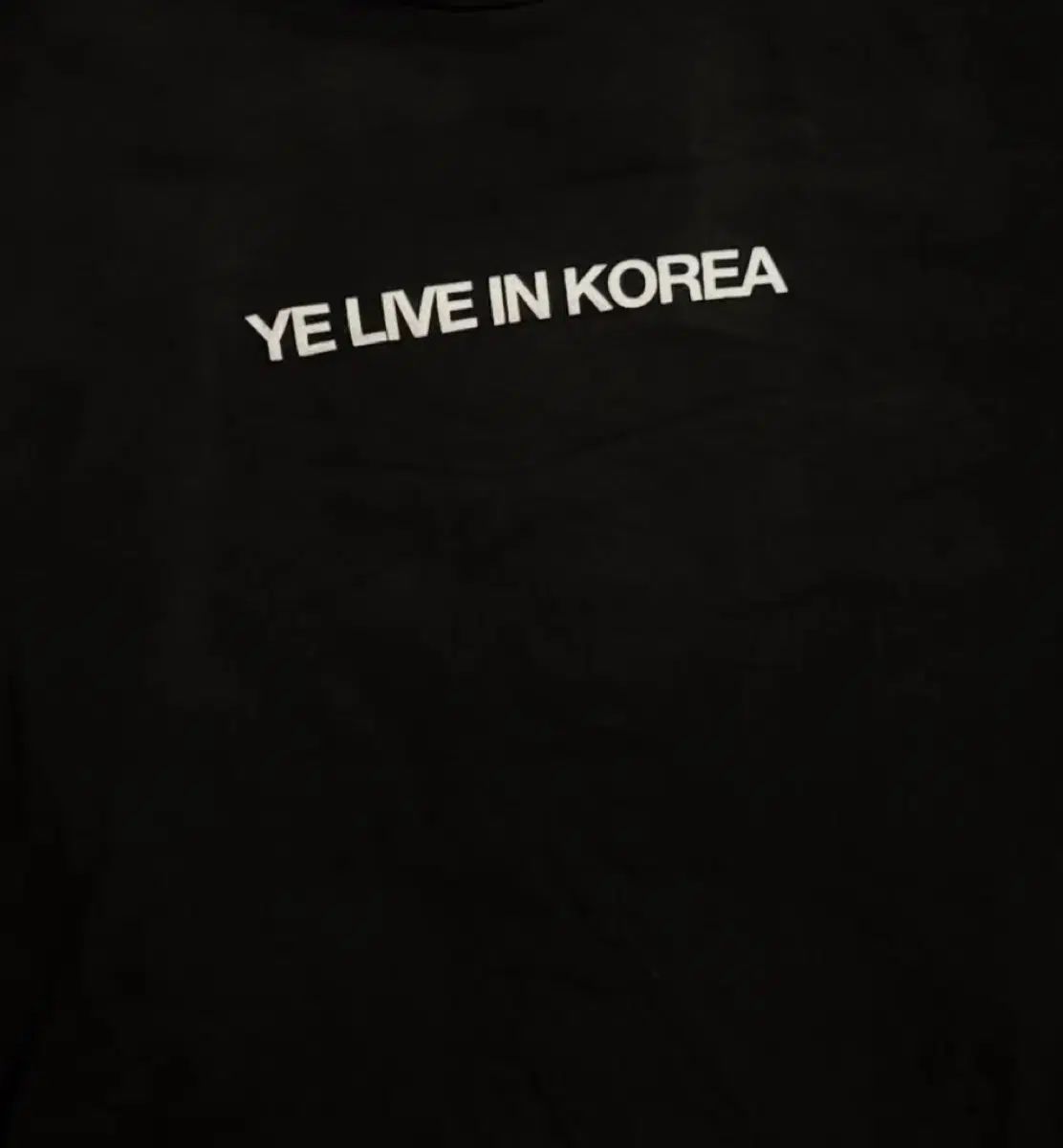 カニエ 韓国 人材派遣 半袖 Tシャツ 半袖シャツ Tシャツ XL