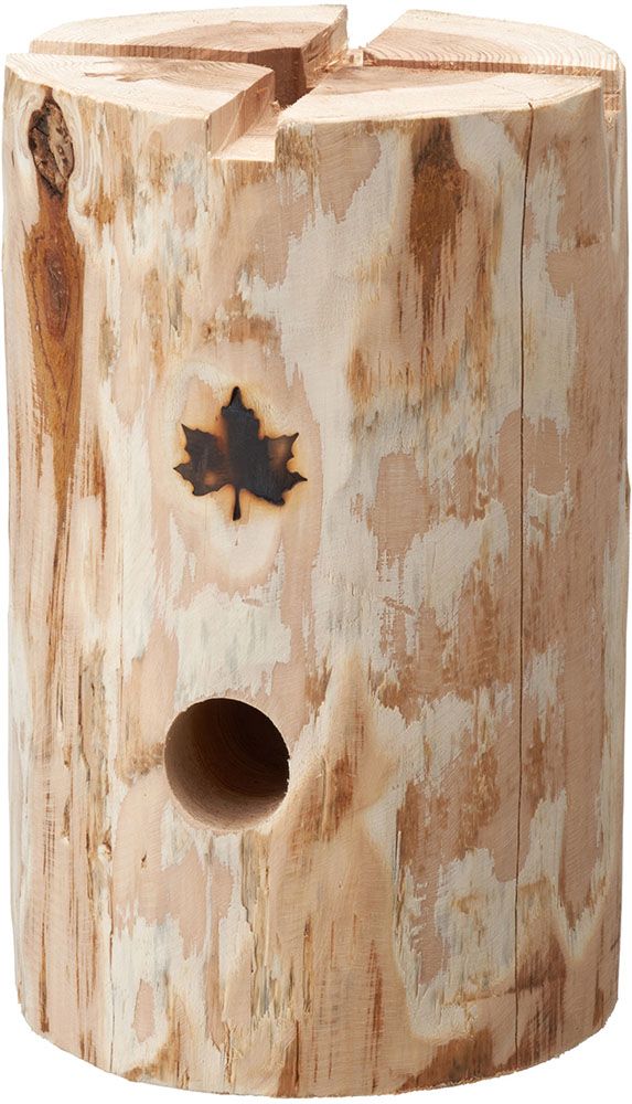 日能研 育成テスト4科目 5年生 23年度 前期 ＋春期講習特別テスト 5