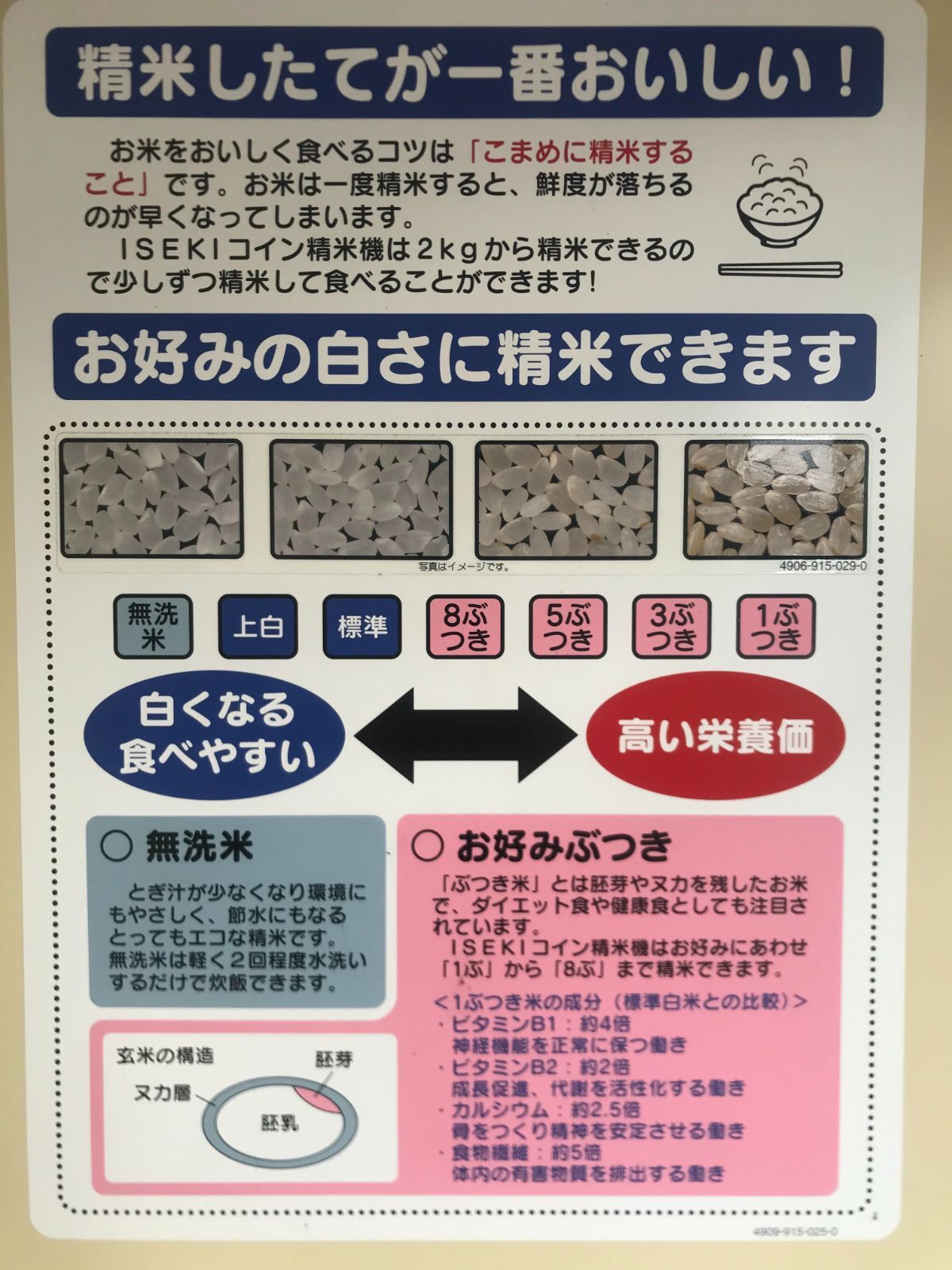 幻のお米『いのちの壱』 岐阜県産 新米 玄米 ３０kg 送料無料 - 岐阜の