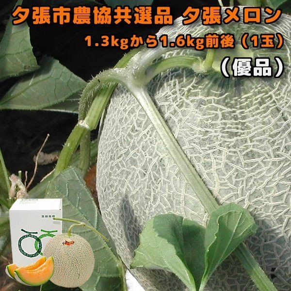 夕張メロン 1玉 優品 夕張市農協 共選品 1.3kgから1.6kg 前後 お中元 贈答品 お取り寄せグルメ 6月中旬か6月下旬ごろより入荷次第のお届けとなります