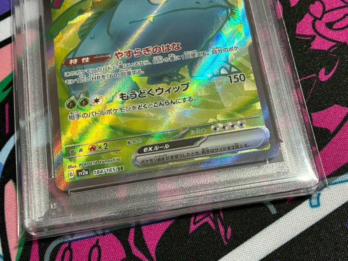 PSA9.10】151 御三家 リザードン フシギバナ カメックスSR 3連番