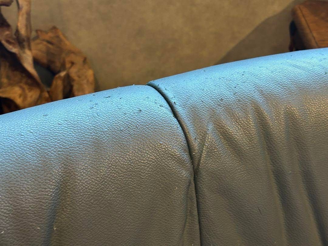 フジファニチア FUJIFUNITURE アームソファ ソファ 2脚セット