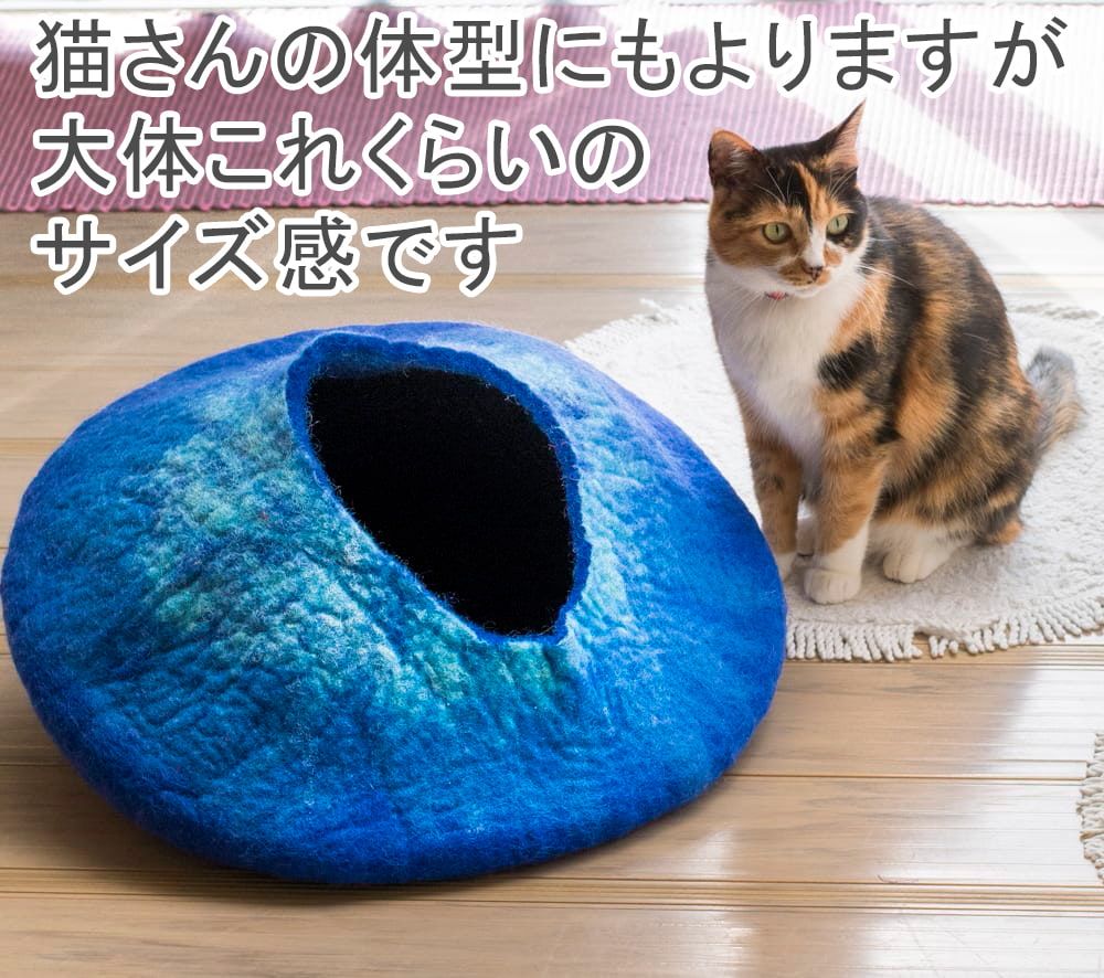 猫ハウス