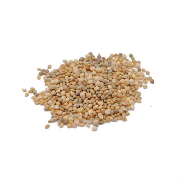 まとめ ペットプロ 小鳥のごはん 皮付 1kg ×12セット