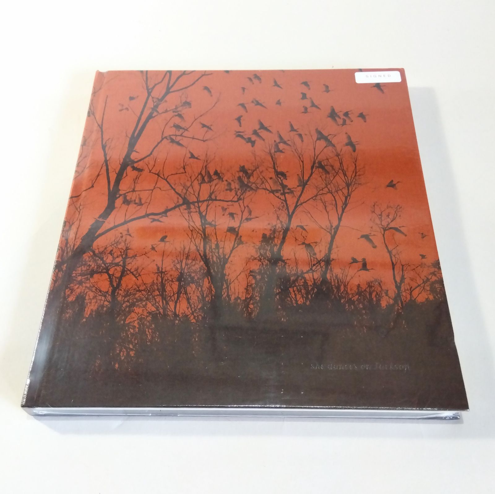洋書 Lord of the Banquet Narrative Fortress Pr Moessner， David P