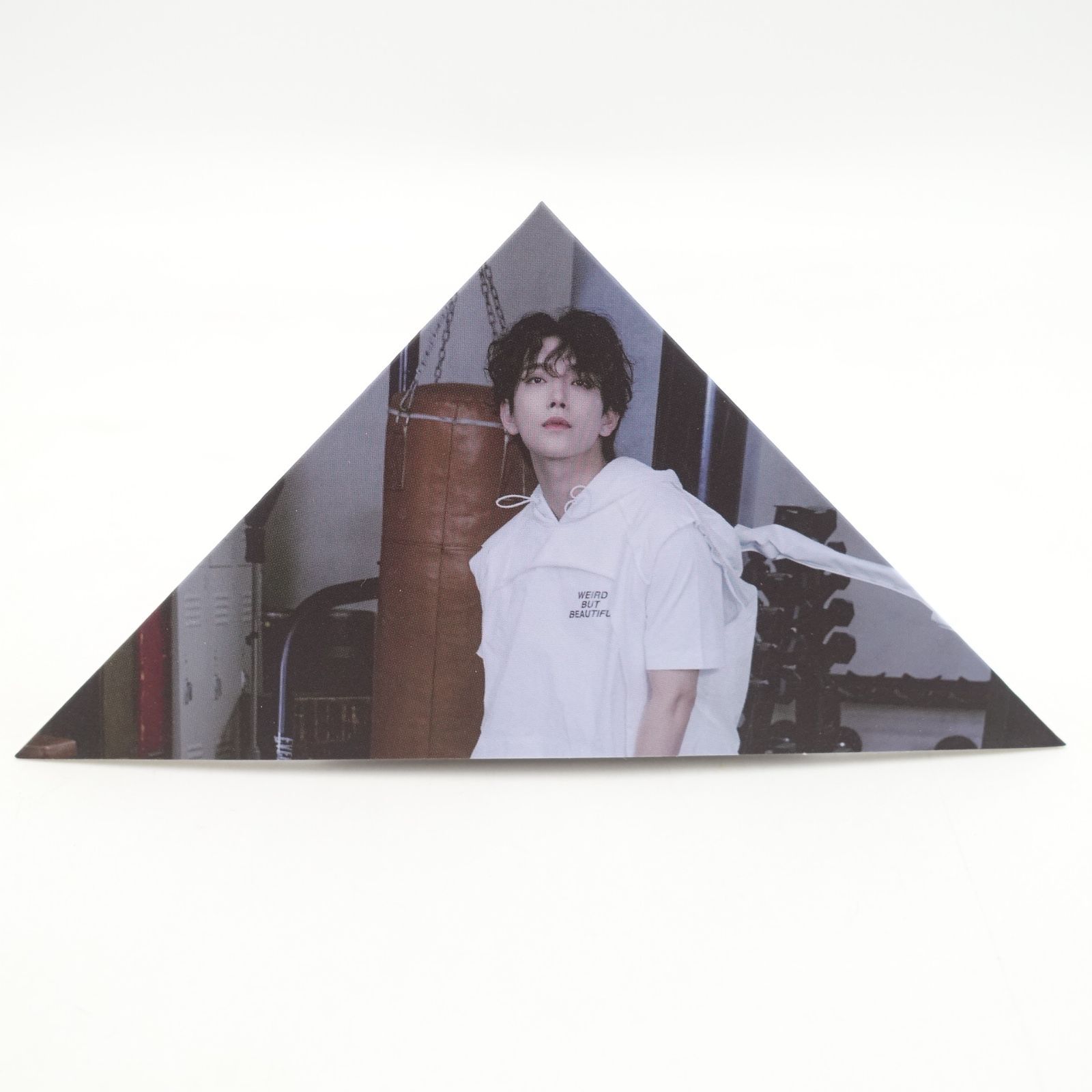 SEVENTEEN ジュン ジョシュア An Ode Truth 2020 JAPAN DOME