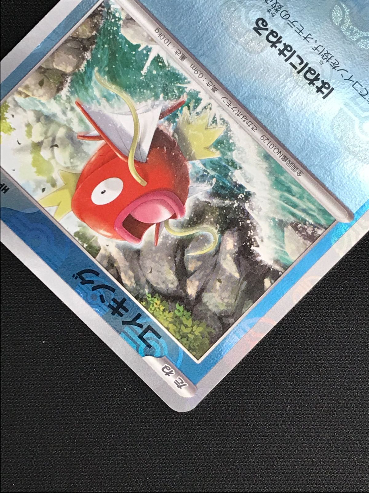 マスターボールミラー コイキングとギャラドス PSA10 連番 コイキング