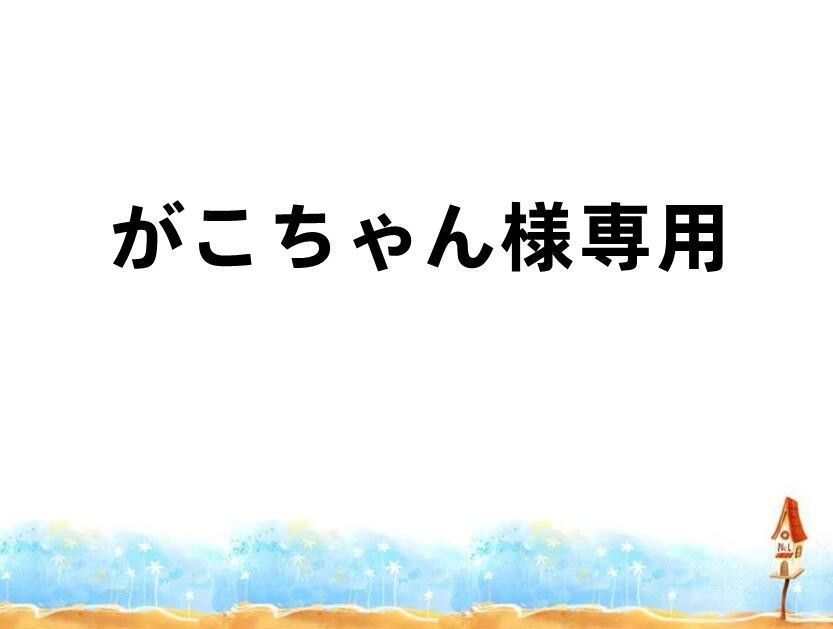 がこちゃん