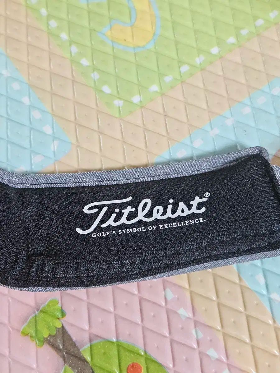 ほぼ新品) タイトルリスト ゴルフ サンバイザー グレーオス free