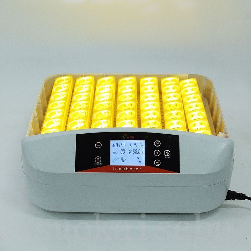 自動孵卵器56枚検卵ライト内蔵インキュベーターふ卵器家庭用自動転卵デジタル表示自動温度制照卵器付き実験用大容量家禽鳥類