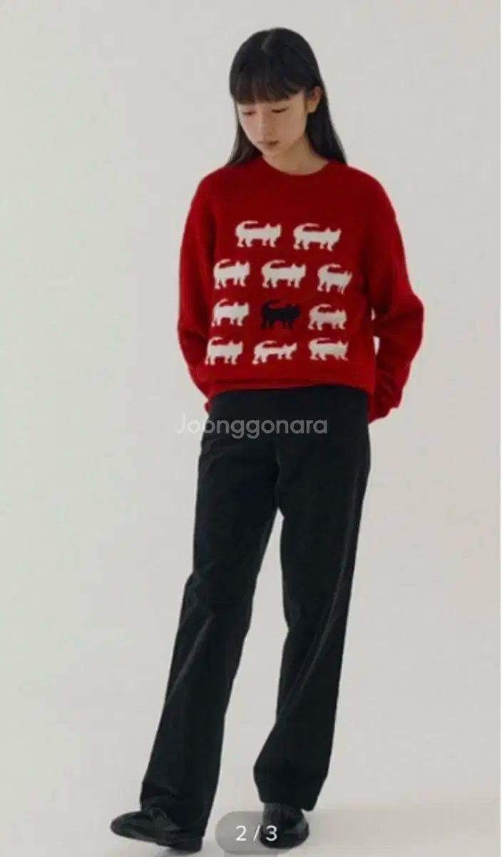 sienne シエンヌ ノーキャット ニット