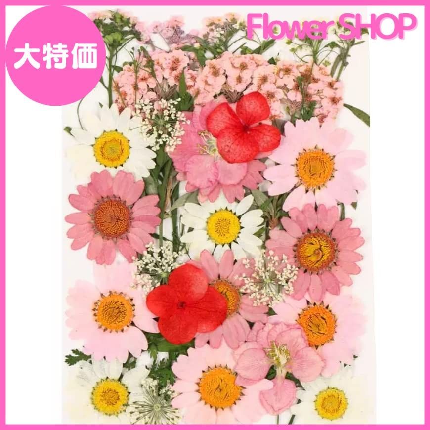 大特価】押花 ピンクカラー ドライフラワー ハンドメイド用 大特価】押花 ピンクカラー ドライフラワー ハンドメイド用