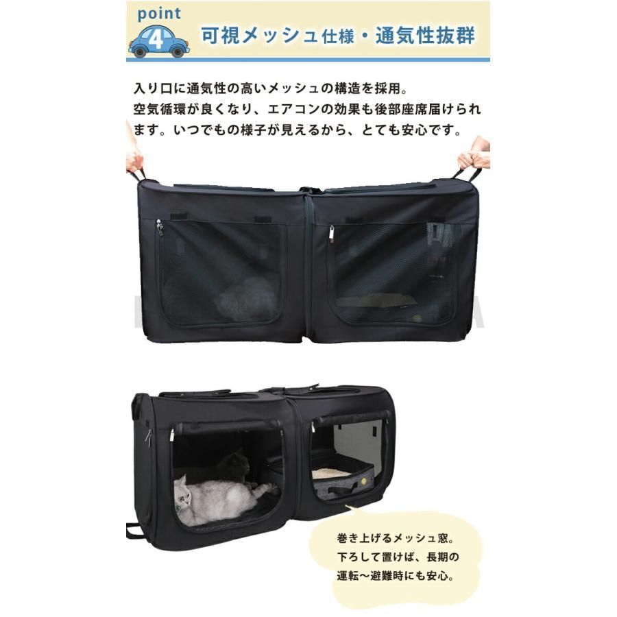 猫 大型犬