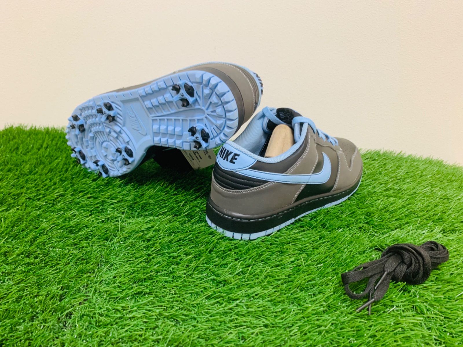 NIKE GOLF ナイキゴルフシューズ WMNS DUNK NG SL-