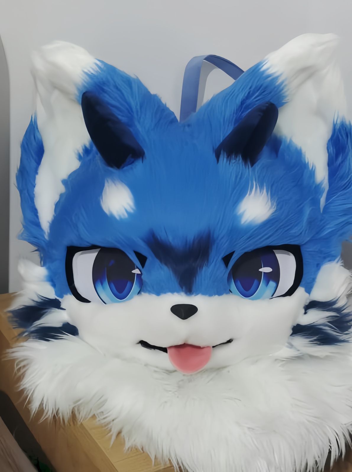 ファースーツ 着ぐるみセット NO.252 犬 青 ブルー ケモノ ファースーツ 全頭ヘッド ぬいぐるみ コスプレ コスチューム 一点物